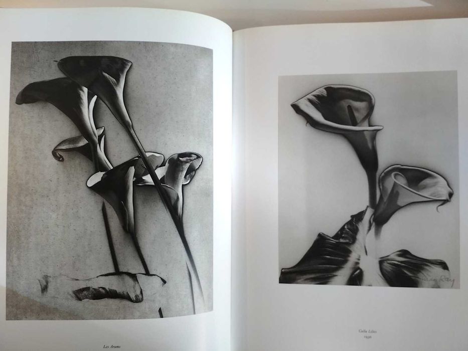 Man Ray 1890/1976 - Taschen (formato grande)