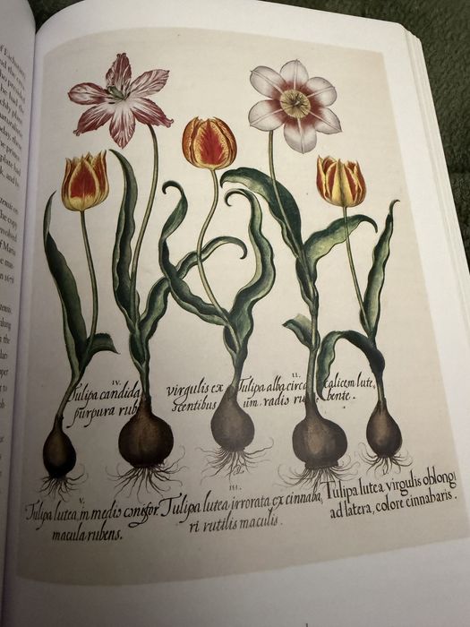 A Garden Eden. Masterpieces of Botanical Illustration ботаніка