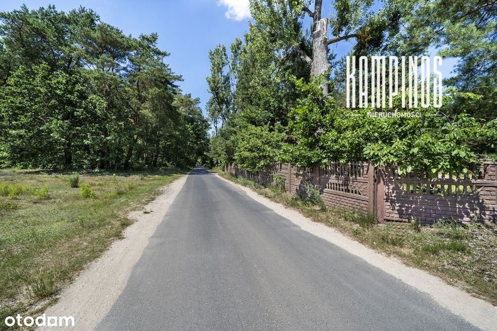 Zdjęcie 3