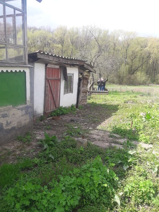 Продам дві хати в с. Вендичани