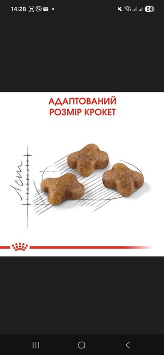 Royal canin kitten для кошенят 10кг