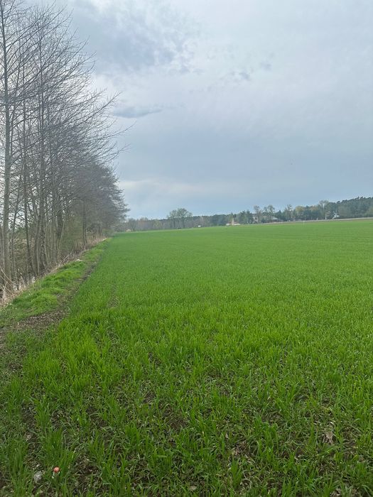 Działki budowlane Grójec Mały