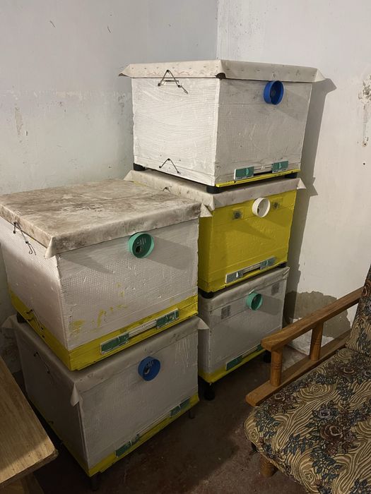Бджолині вулики нові  та   б.у.