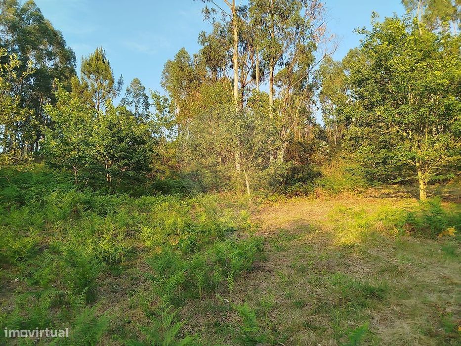 Terreno  para venda