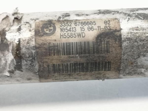 Amortecedor trás esquerdo BMW 5 (E60)