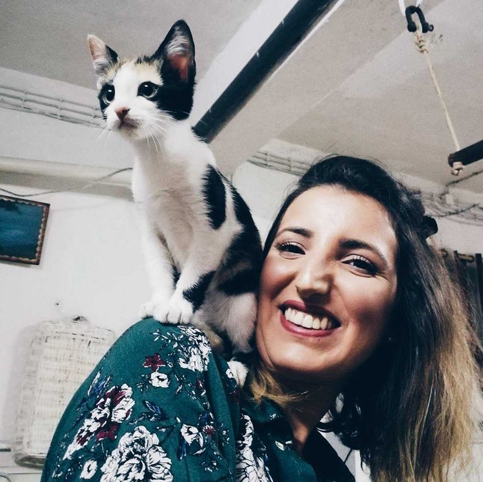 Pet Sitting em Estadia Familiar para animais domésticos Amadora