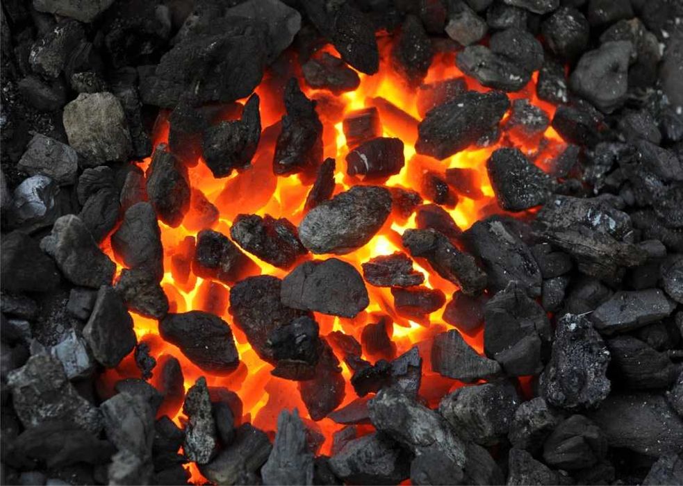 groszek Piast polski węgiel min. 25 MJ/kg tona luz