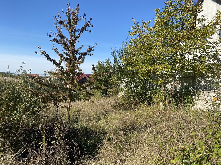 Продаю ділянку в Чистилові