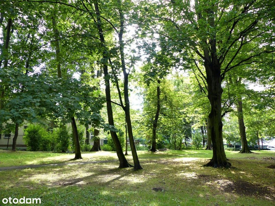 Kompaktowy apartament przy Parku z balkonem