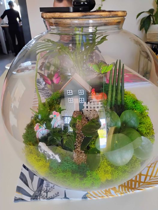 Las w szkle na prezent