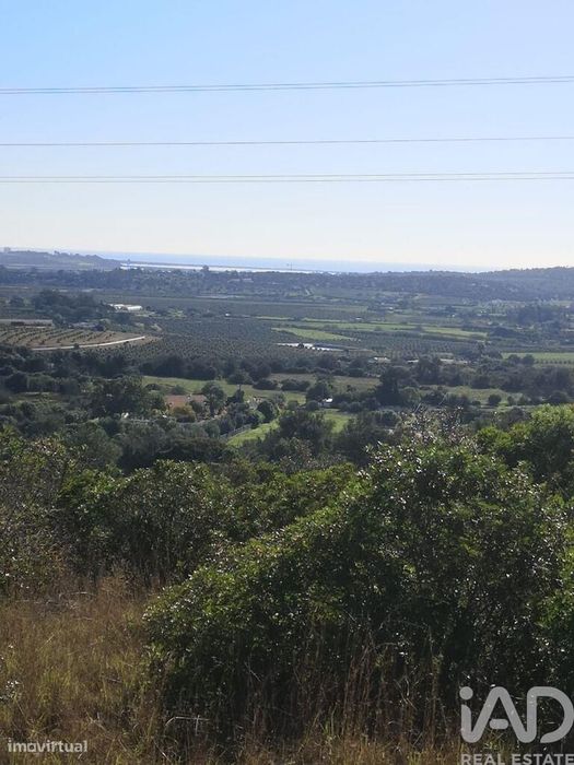 Terreno Agrícola em Odiáxere