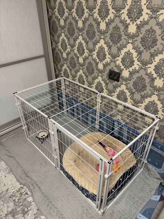 Вольєр металевий для домашніх тварин Springos 120 x 60 x 60 см Білий