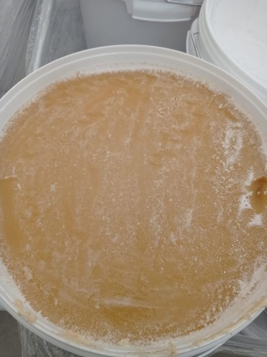 Naturalny Miód Lipowy w wiadrach 28kg