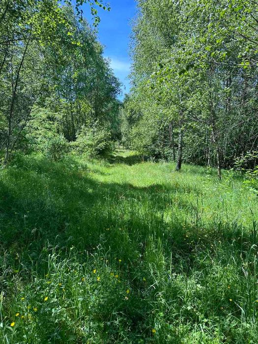 Продається земельна ділянка в с. Ракош