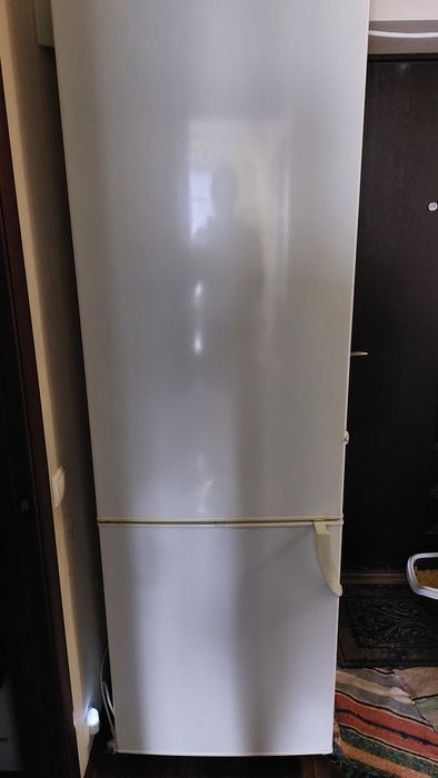 Холодильник SNAIGE RF-390