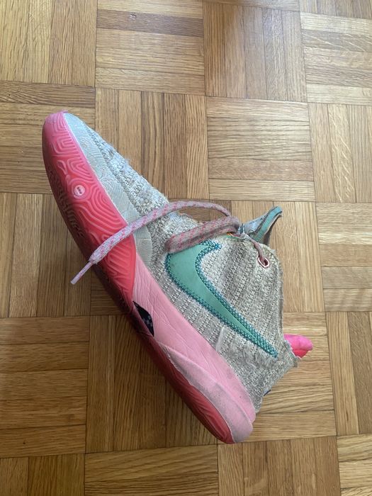 Lebron James shoes