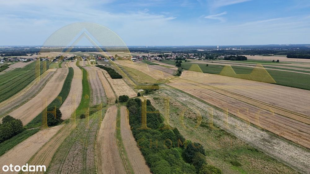 7200 m² | 1800 m² budowlane | Wilcza | Potencjał inwestycyjny