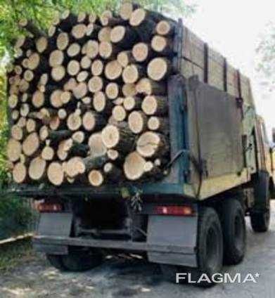 Реалізуємо  Дрова Рубані  Метрові, твердої породи  ДУБ  Акація