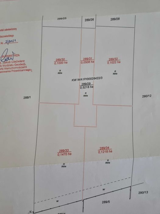 SPRZEDAM działkę budowlaną w Płochocinie - Widok 5