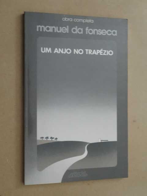 Um Anjo no Trapézio de Manuel da Fonseca