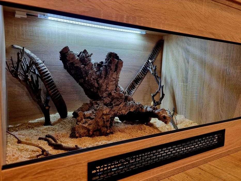 Terrarium 80x50x50 dla węża pytona boa