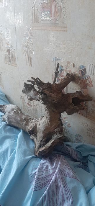 Чудо-юдо,с пенька