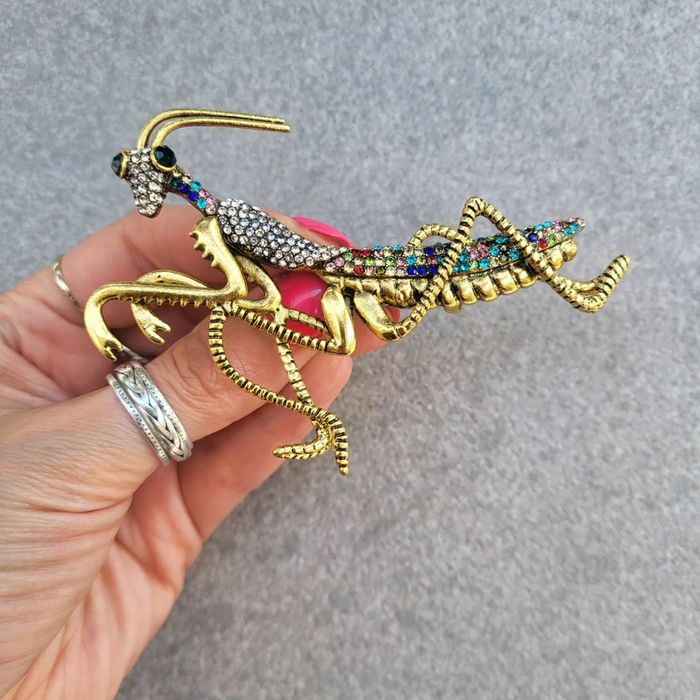 Duża broszka konik polny