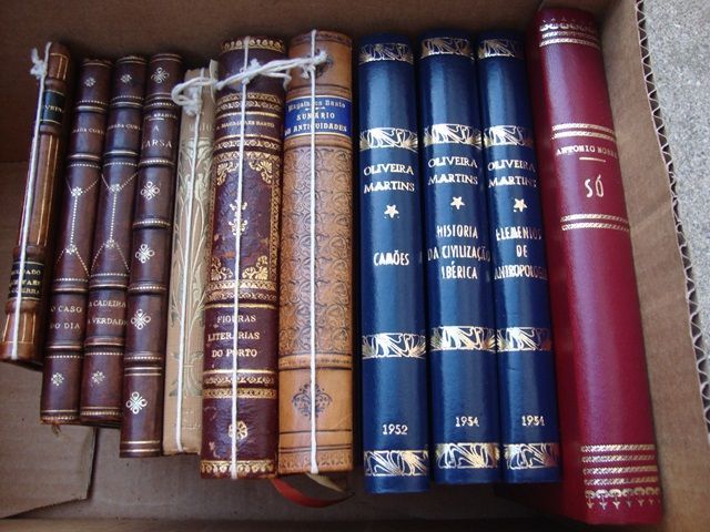 Crónicas e Notas de Viagem