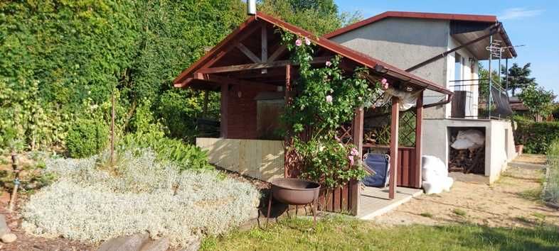 *REZERWACJA*Działka ROD Podleśne Iława