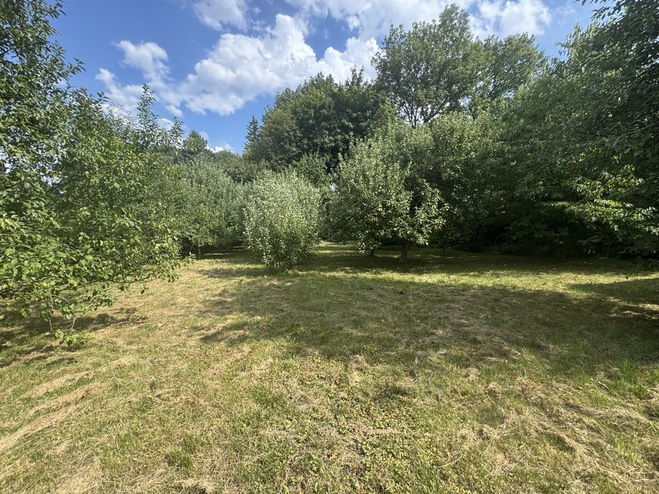 Duża Działka ROD Perła Kłodzko - Widok 6