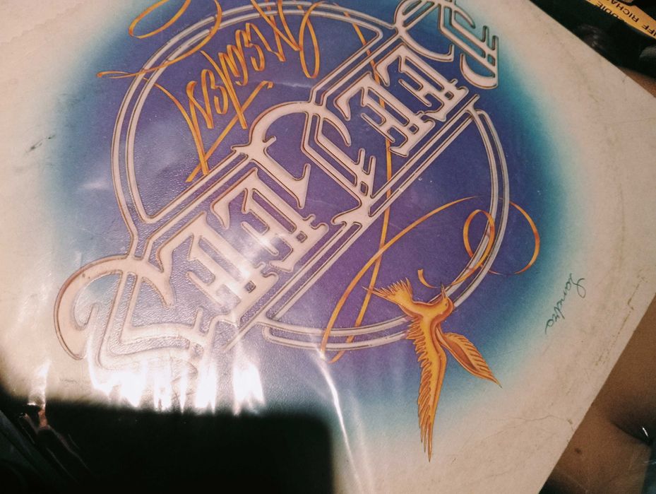 Discos de vinil antigos vários géneros musicais