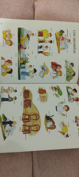 Dicionário Escolar por imagens Espanhol