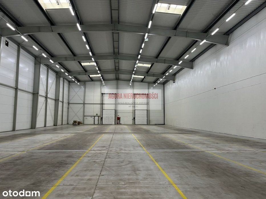Magazyn 2100 m2 Lotnisko A4 Wysoki Skład + Biuro