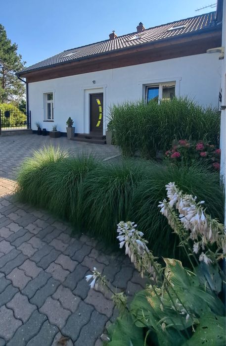Apartament do wynajęcia 70 m3
