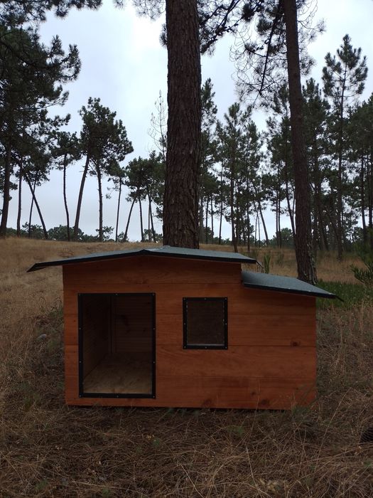 Casota para pastor astraliano