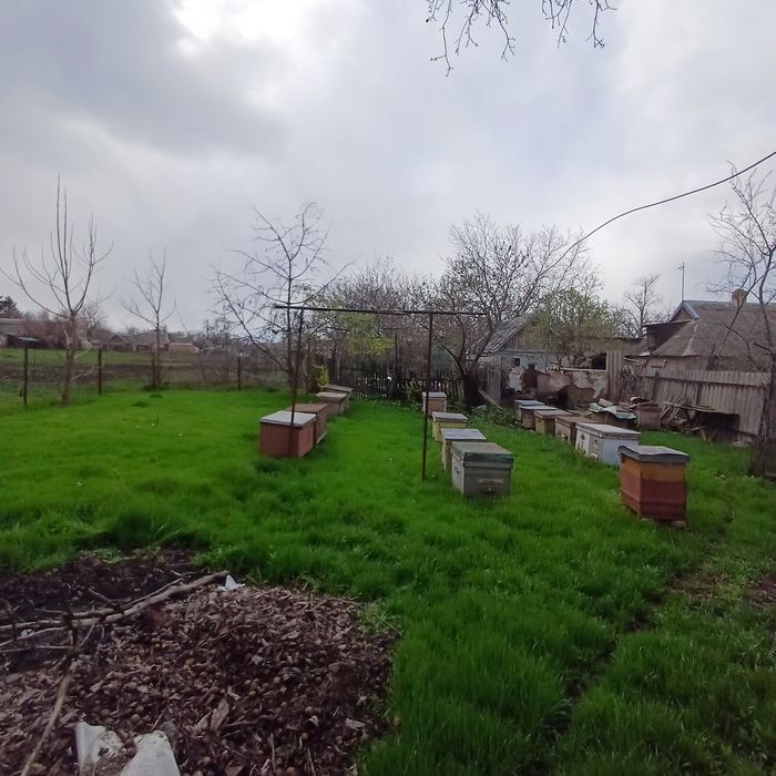 Будинок в центрі смт Софіївка