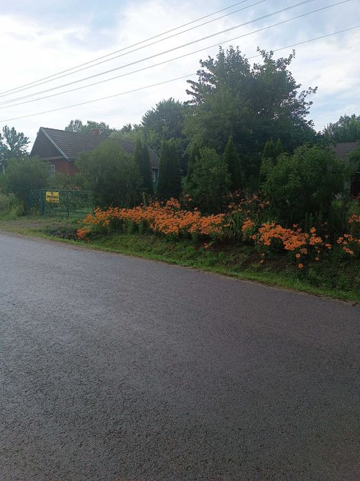 Dom – Nagoszyn - Widok 5