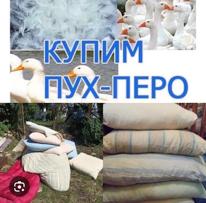 Покупаем пух перо