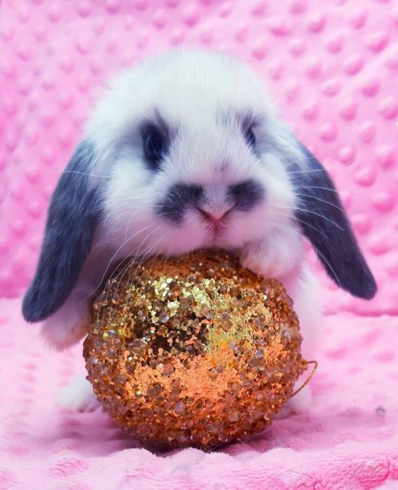 Ніжність у кожному русі!