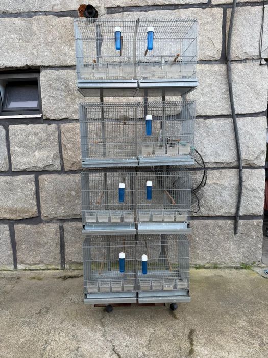 Viveiros Duplos Galvanizados