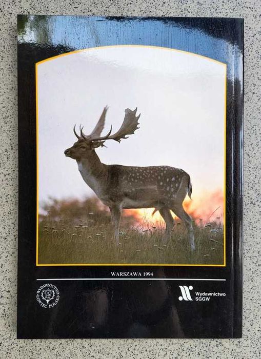 Ryszard Dzięciołowski - Daniel (miękka)