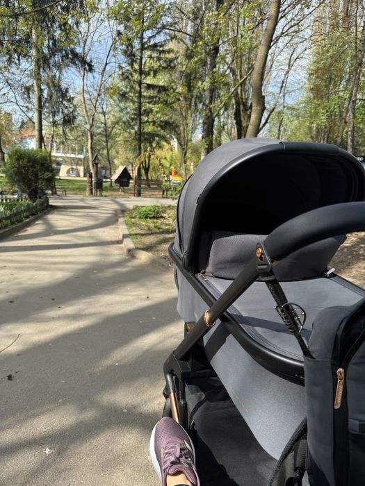 Коляска 2в1 Carelo Sigma Самовивіз