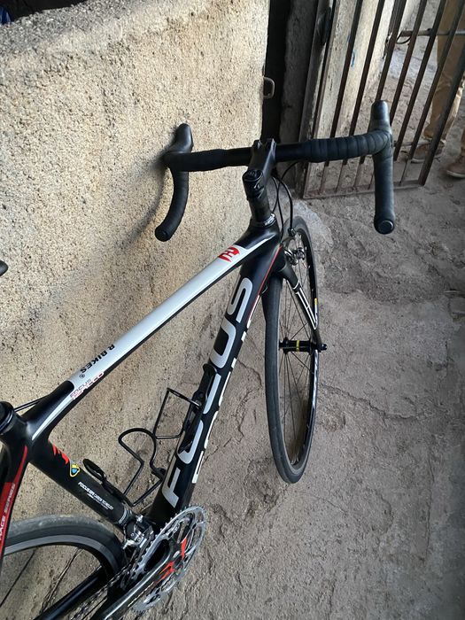 Focus Izalco Carbono