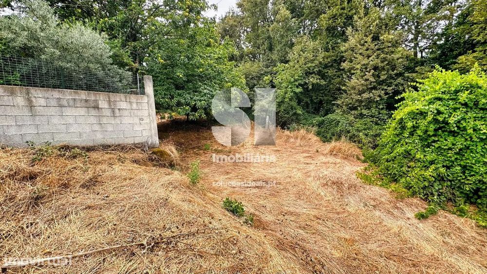 Terreno em Vila real