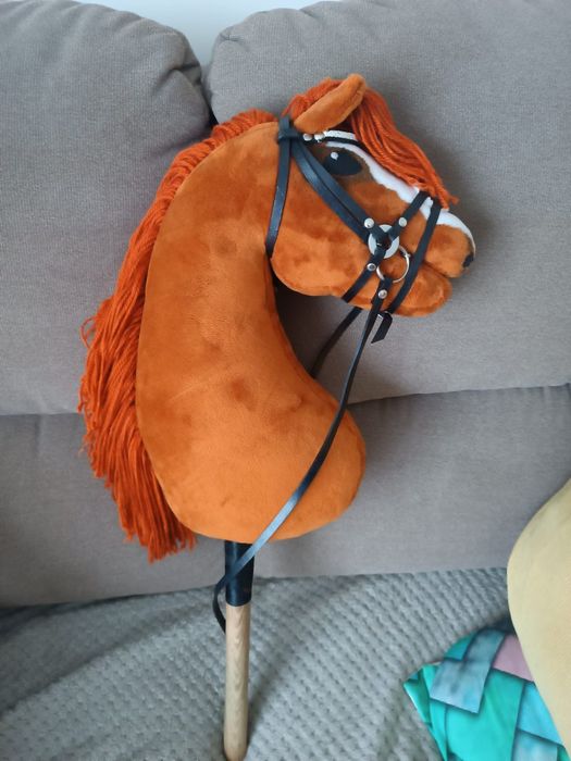 Hobby Horse, rudy A3