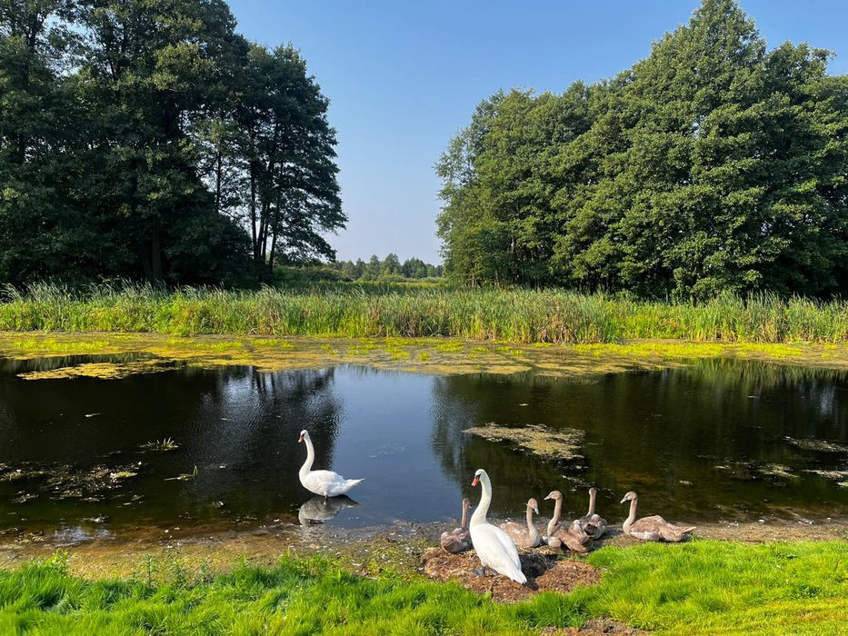 Kwatery pracownicze Ponikiew obok Pułtuska