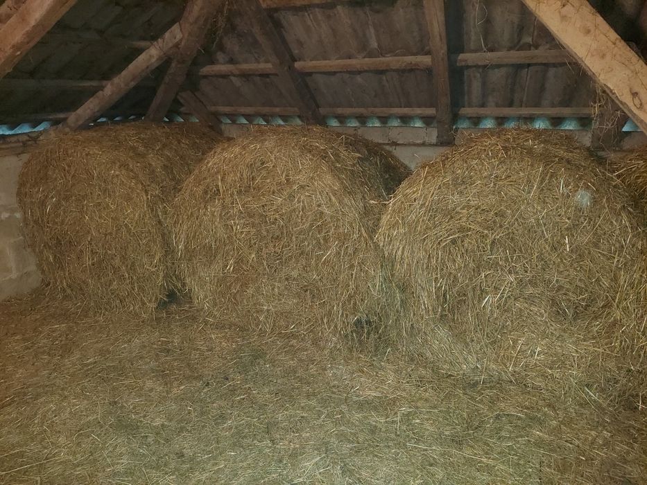 Słoma w belach sucha