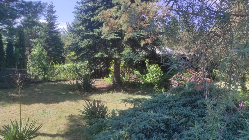 działka ROD Targówek Gaj, Janowiecka 77 Warszawa, nr 658