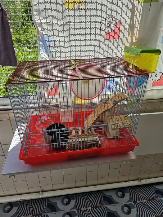 Gaiola  pássaros ou hamsters  completa