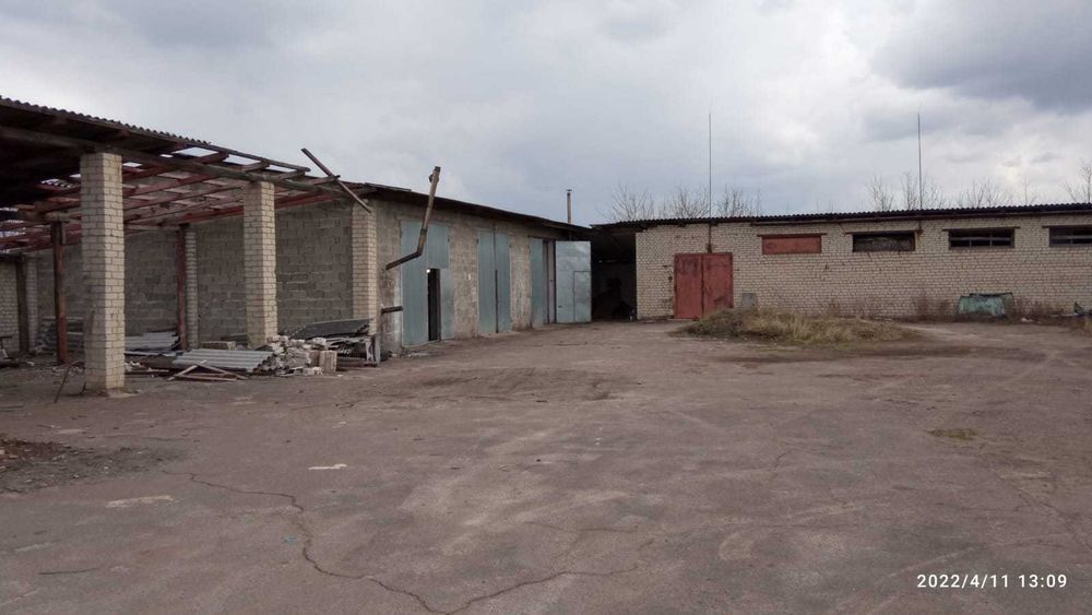 ПІДПРИЄМСТВО ПО ОБРОБЦІ БУРШТИНУ,ПРОМБАЗА,КОРПОРАТИВНІ ПРАВА,ЗД ВІТКА.